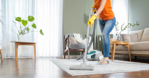 Clean the house and vacuum spiders and spider webs
