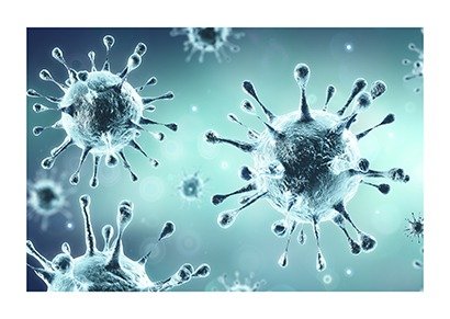CAN COVID CORONAVIRUS BE TRANSMITTED BY PESTS