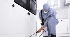 Cockroach pest control