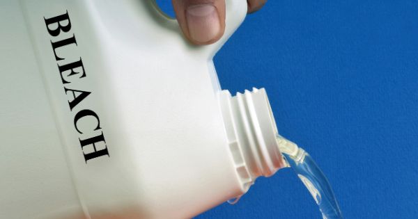 How Bleach Can Get Rid of Drain Flies