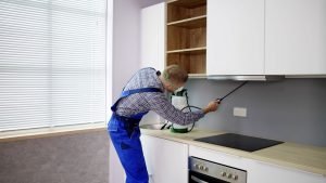 Cockroach Pest Control Expert