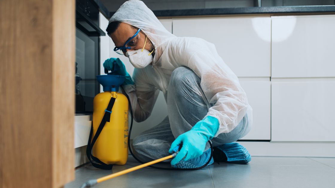 Missouri Ant Control services