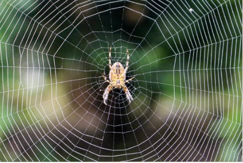 Biological control