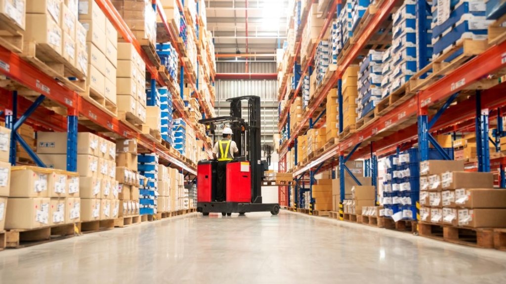 Common Pest Inside Warehouse