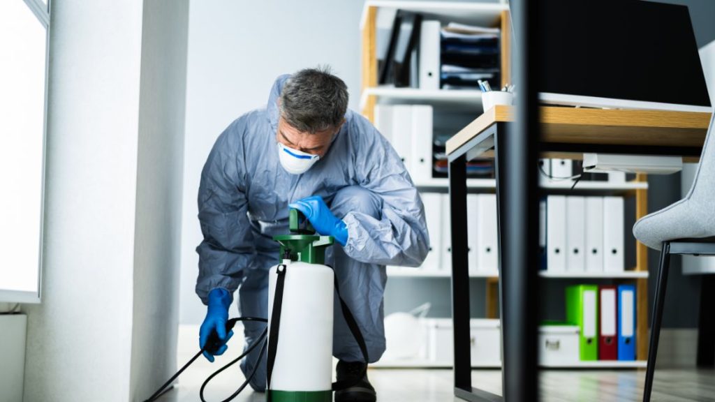 Office Pest Control