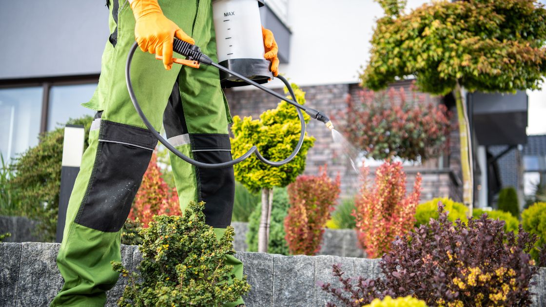 Pest Control Methods to Get Rid of Mud Daubers
