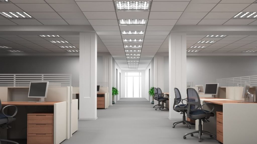 Office Pest Control