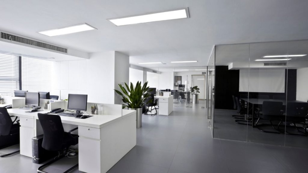The Importance of Using Professional Office Pest Control Services