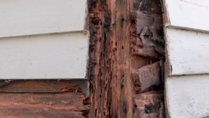 Damaged Timber