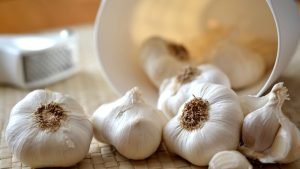 Garlic