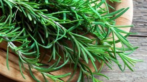 Rosemary