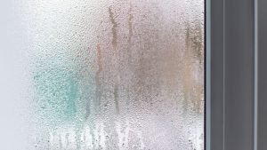 Moisture