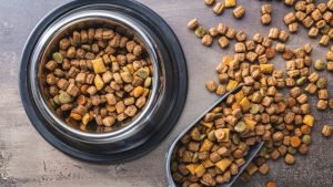 Pet Food Left Out