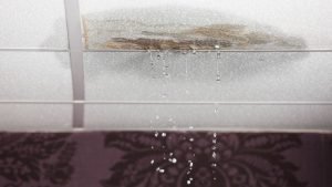 Water stains or leaks