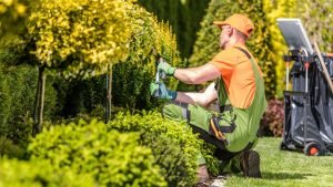 Landscaping