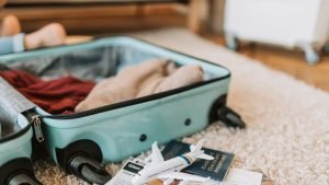 Bed bugs on luggage