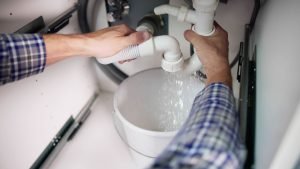 Eliminate moisture sources