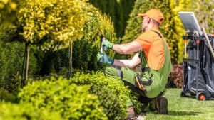 Keep Outdoor Areas Clean and Trimmed