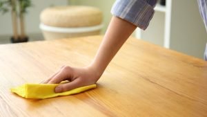Keep Your Home Clean and Wipe Up Grease and Food Debris
