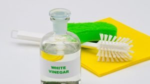 Vinegar for Ants