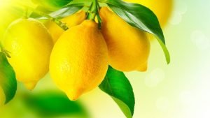 Lemon
