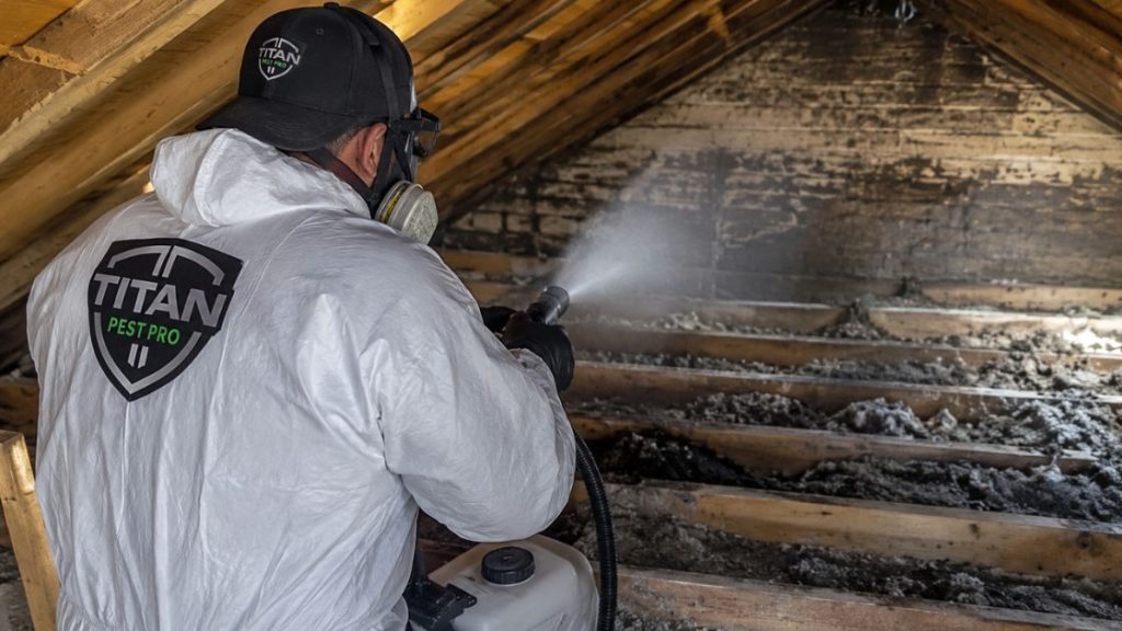 Pest Control and Wildlife Removal Services in Kansas city MO