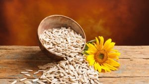 Sunflower seeds