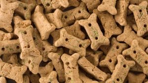 Dog biscuits