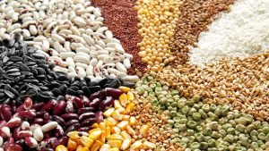 Grains and seeds