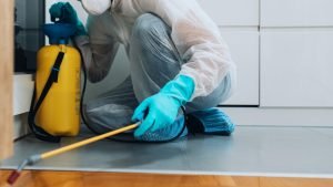 Inspect for Signs of Mice