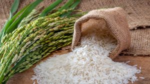Open rice bags