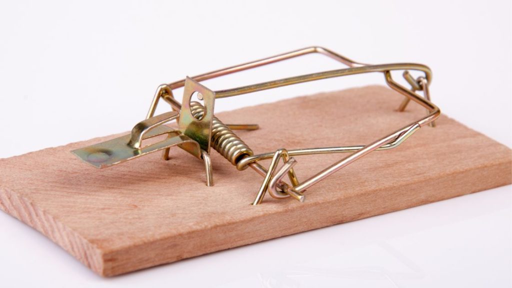 Snap trap for mice