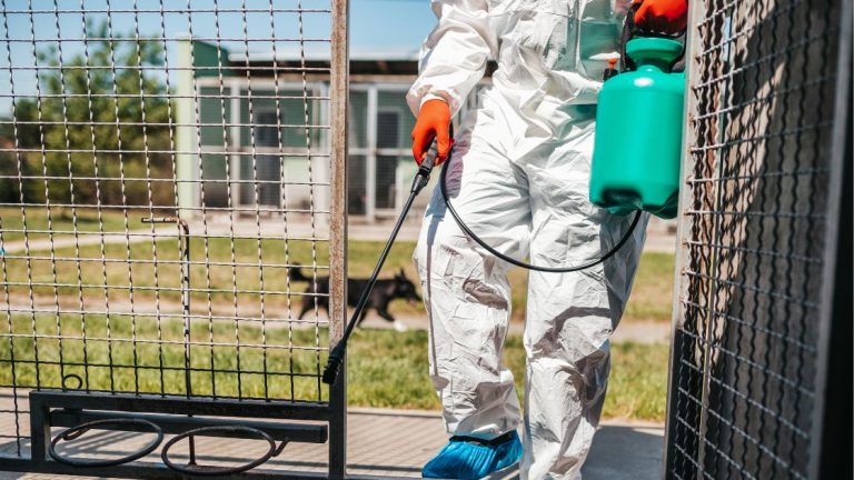 When to Call a Mice Exterminator in Kansas City