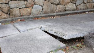 Foundation Cracks And Entry Points