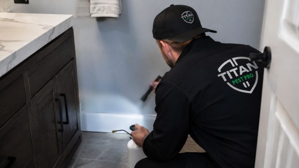 What Makes Professional Pest Control Different