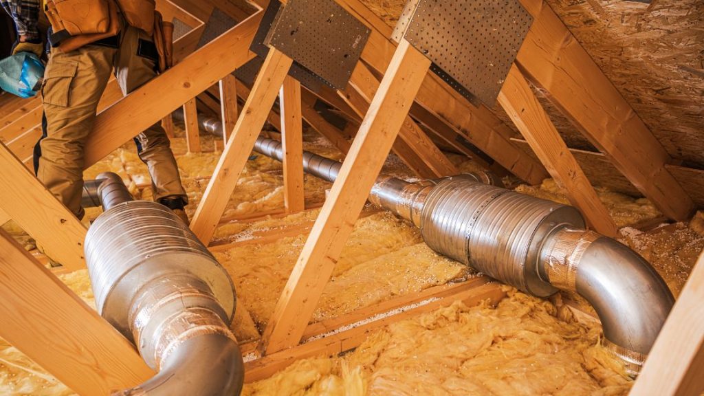 Attic Cleanup and Sanitation