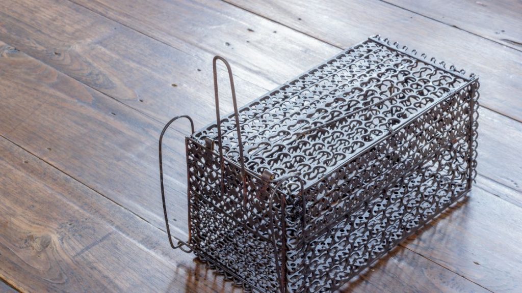 Place Traps Along Walls