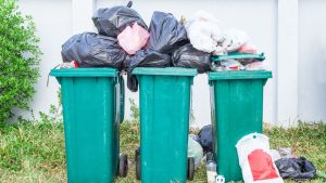 Securing Garbage and Outdoor Food Sources