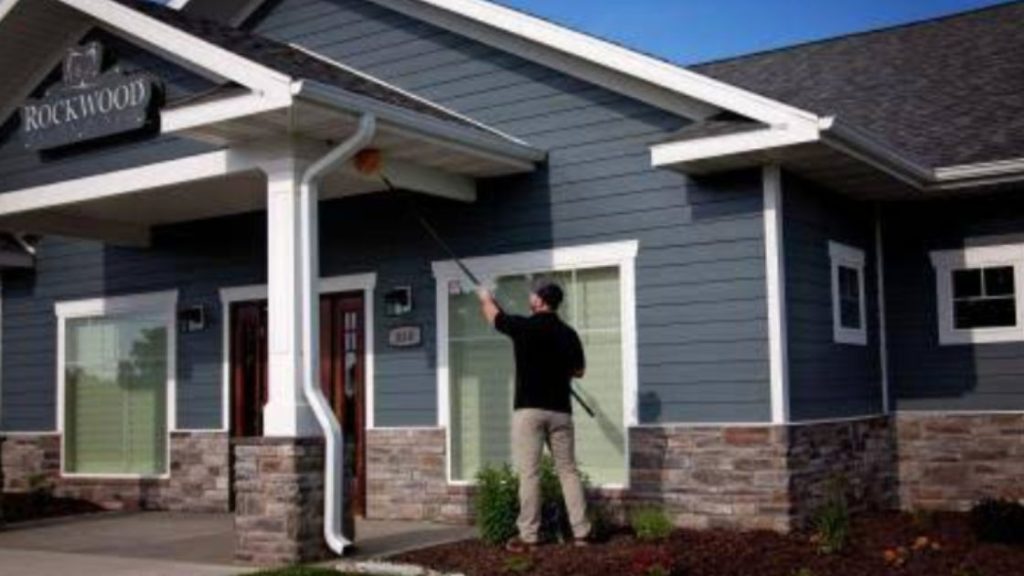 How Titan Pest Pro Handles Bat Removal How Titan Pest Pro Handles Bat Removal