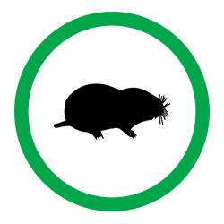 MOLE