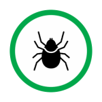 TICK212
