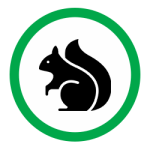 squirrel1