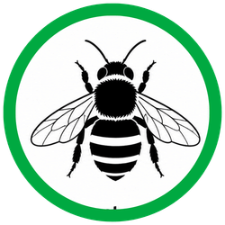 CARPENTER BEES