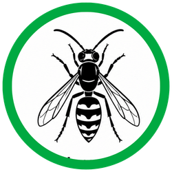 HORNETS