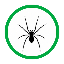 House Spiders