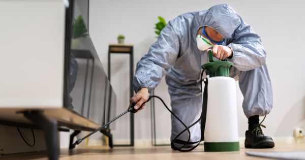 Importance of Pest Control Services