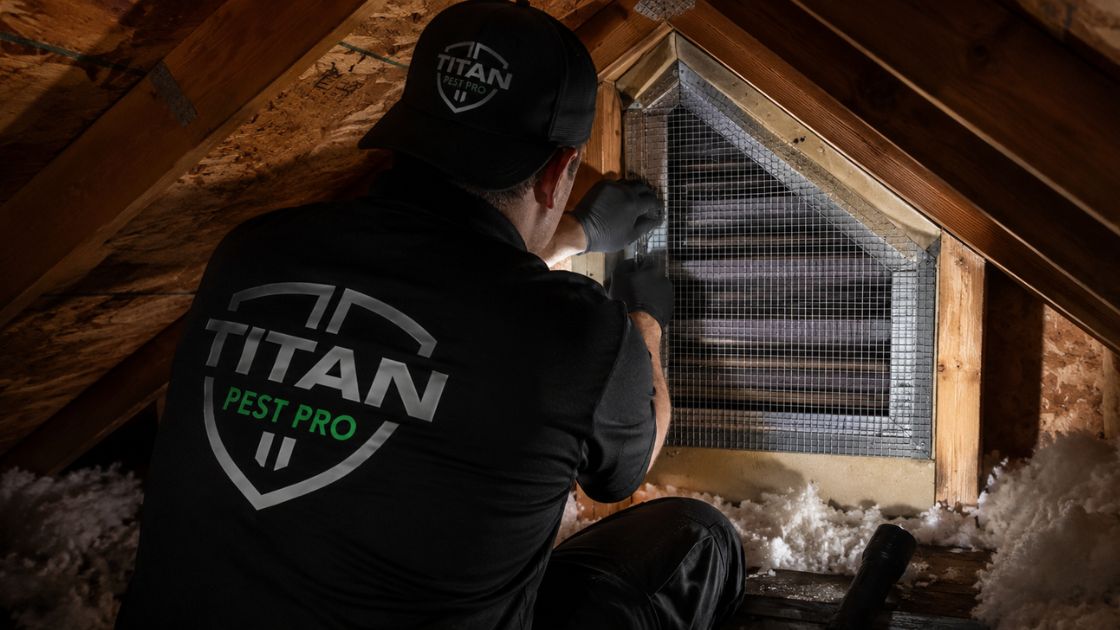 Titan Pest Pro Wildlife Exclusion