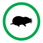 MOLE