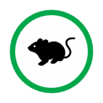 Mice