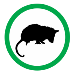 OPOSSUM